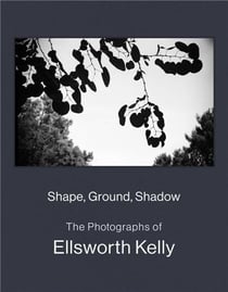 Shape, ground, shadow : The photographs of Ellsworth Kelly