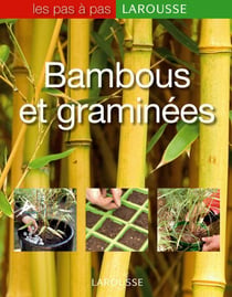 Bambous et graminées