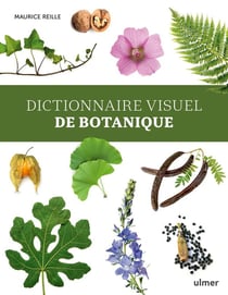 Dictionnaire visuel de botanique