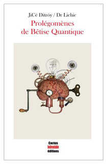 Prolégomènes de bêtise quantique