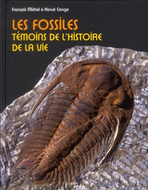 Les fossiles - témoins de l'histoire de la vie