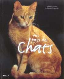 Au pays des chats