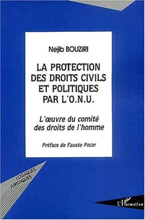 La Protection des droits civils et politiques par l'O.N.U. : L'oeuvre du comité des droits de l'homme