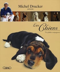 Les chiens - nos fidèles compagnons