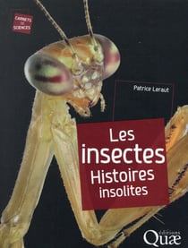 Les insectes - histoires insolites