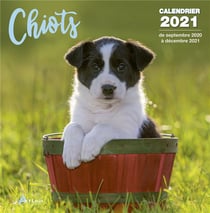 Calendrier chiots 2021 (édition 2021)