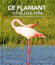Ce flamant n'est pas rose !