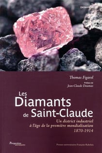 Les diamants de Saint-Claude - un district industriel à l'âge de la première mondialisation, 1870-1914