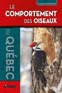 Le comportement des oiseaux du Québec