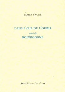 Dans l'oeil de l'oubli - rougigogne