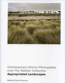 Appropriated landscapes - contemporary african photography from the walther collection