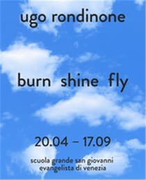 Ugo Rondinone : burn shine fly