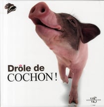 Drole de cochon !