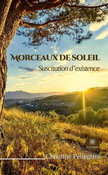 Morceaux de soleil