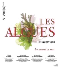 Les algues en questions : le nouvel or vert