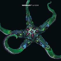 Watergate 16 (mixé par la fleur)