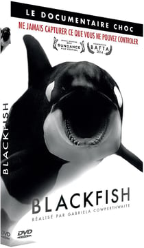 Blackfish