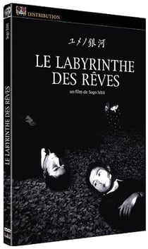 Le Labyrinthe des rêves