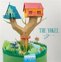 Y - Vinyle