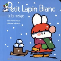 Petit lapin blanc à la neige