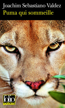 Puma qui sommeille : Une enquête impériale de l'Inca Tupac Hualpa