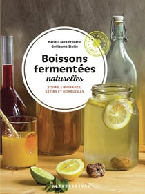 Boissons fermentées naturelles : Sodas, limonades, kéfirs et kombuchas