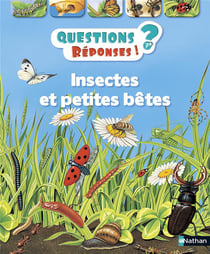 Questions réponses 7+ : insectes et petites bêtes