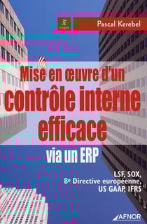 Mise en oeuvre d'un contrôle interne efficace via un ERP