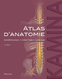 Atlas d'anatomie : morphologie, fonction, clinique (2e édition)