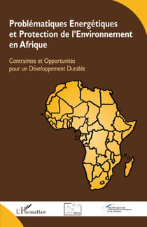 Problématiques énergetiques et protection de l'environnement en Afrique - contraintes et opportunités pour un développement durable