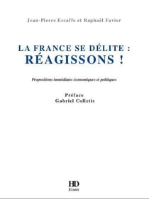 La France se délite : réagissons ! propositions immédiates économiques et politiques
