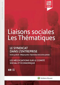 Le syndicat dans l'entreprise - section syndicale - délégué syndical (2e édition)