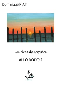 Allo Dodo ? Les rives de Samsarã