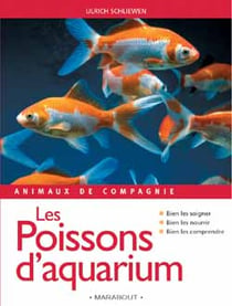 Animaux de compagnie : les poissons d'aquarium