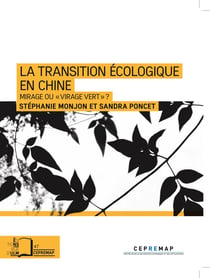 La transition écologique en Chine - mirage ou virage vert ?