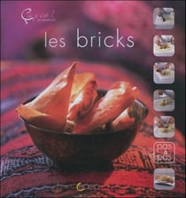 Les bricks - ça y est ! je réussis