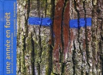 Une année en forêt - arbres et rochers de fontainebleau