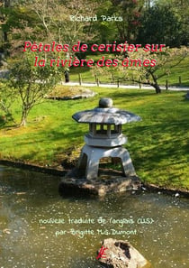 Pétales de cerisier sur la rivière des âmes