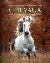 Chevaux : un univers fabuleux