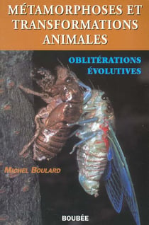 Metamorphoses transformations et obliterations