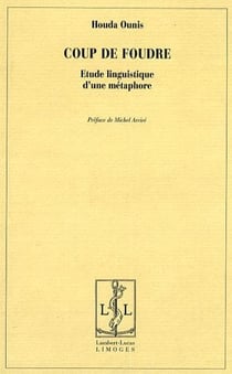 Coup de foudre - étude linguistique d'une métaphore