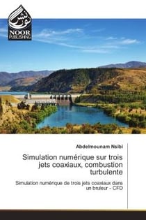 Simulation numerique sur trois jets coaxiaux, combustion turbulente : Simulation numerique de trois jets coaxiaux dans un bruleur - CFD