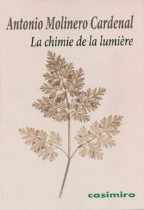 La chimie de la lumière ou la naissance du photogramme