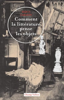 Comment la littérature pense les objets