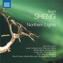 Northern lights