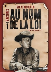 Au nom de la loi - Saison 2 - Volume 1