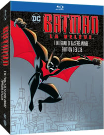 Batman Beyond - La Série animée