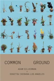 Adam Silverman : common ground