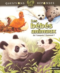 BEBES ANIMAUX NC