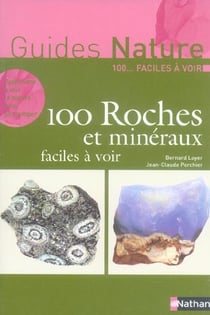 100 roches et mineraux faciles